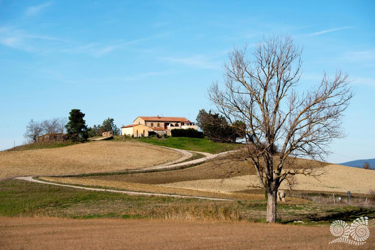 Poggio Alla Pietra 26 Porrona Luaran gambar