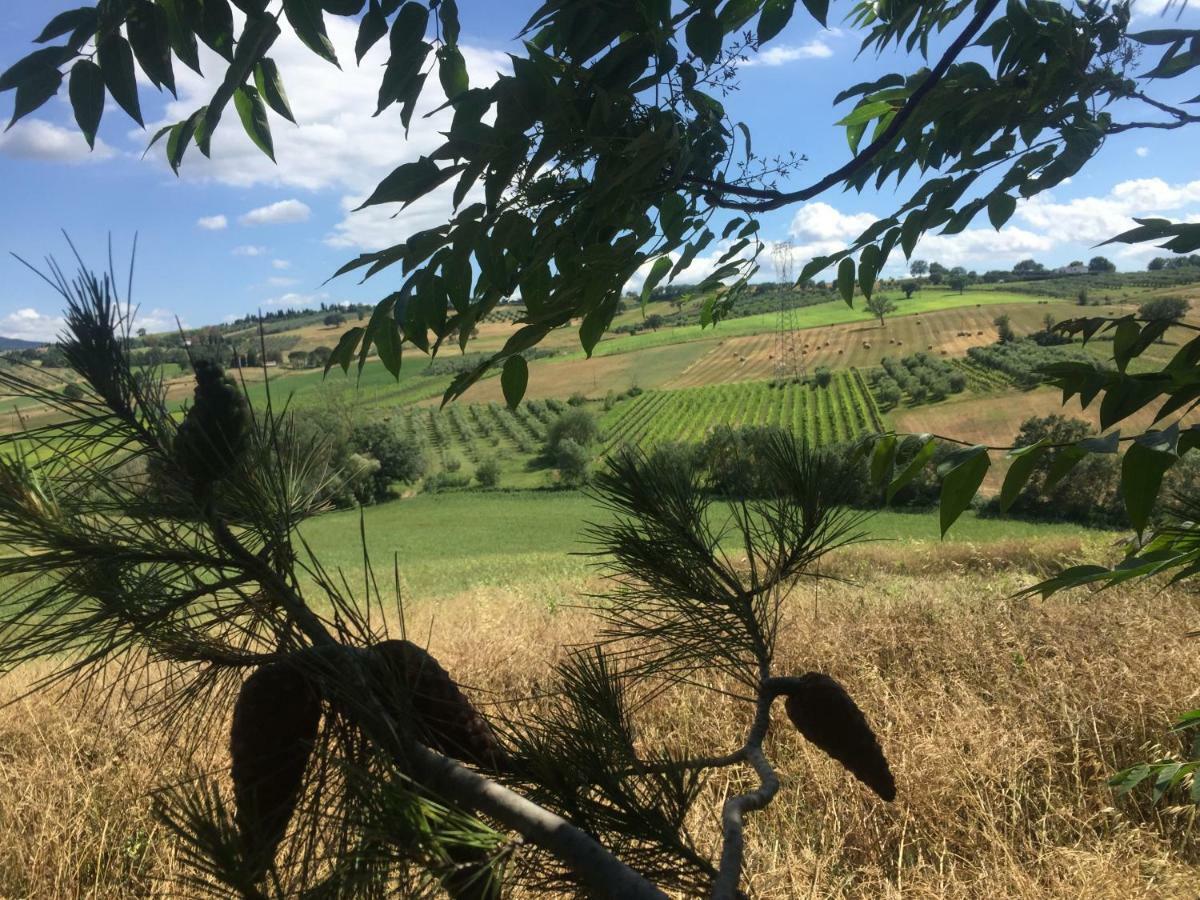 Poggio Alla Pietra 26 Porrona Luaran gambar