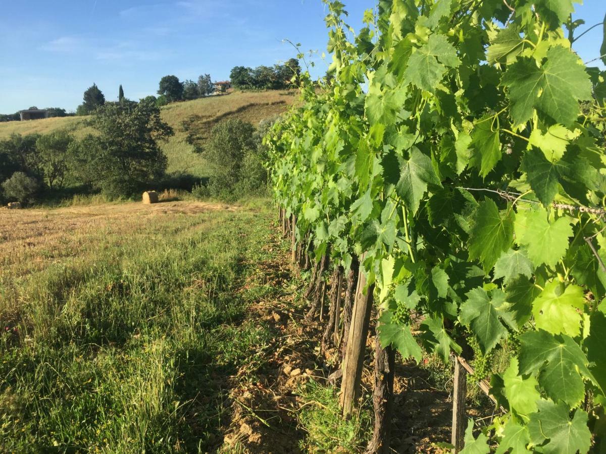 Poggio Alla Pietra 26 Porrona Luaran gambar