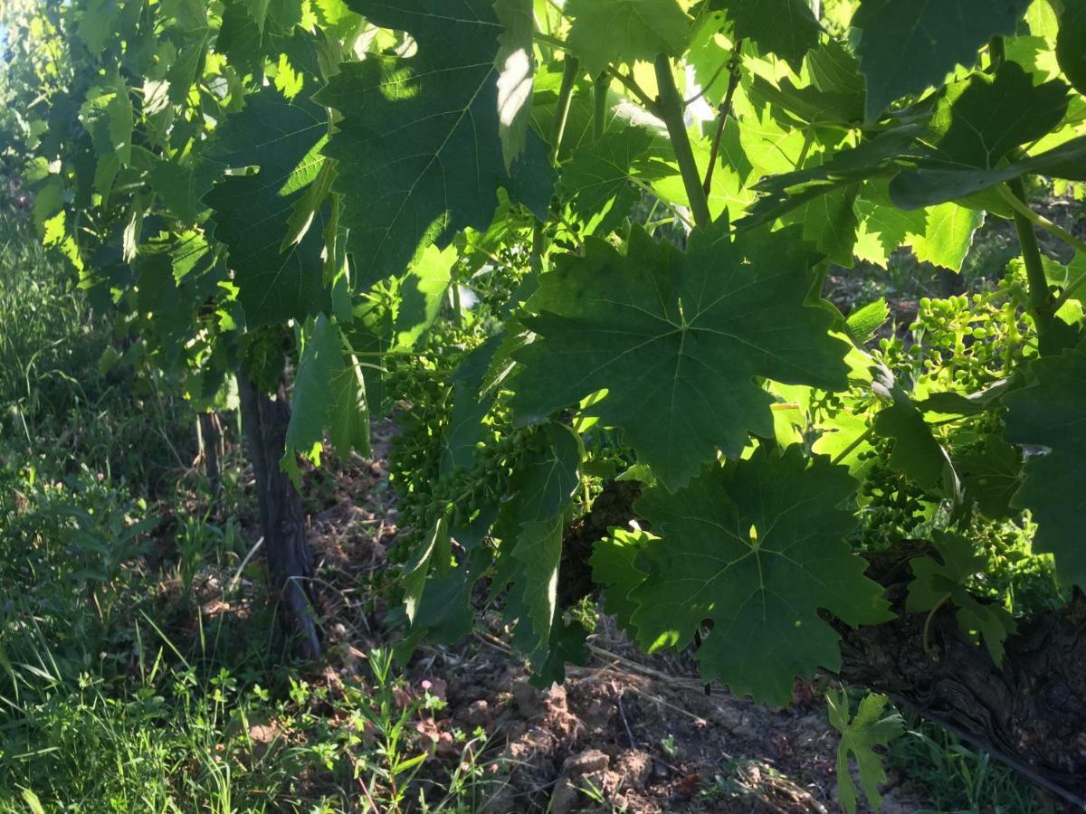 Poggio Alla Pietra 26 Porrona Luaran gambar
