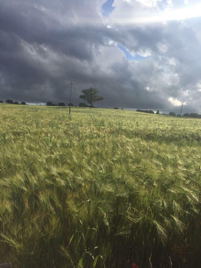 Poggio Alla Pietra 26 Porrona Luaran gambar