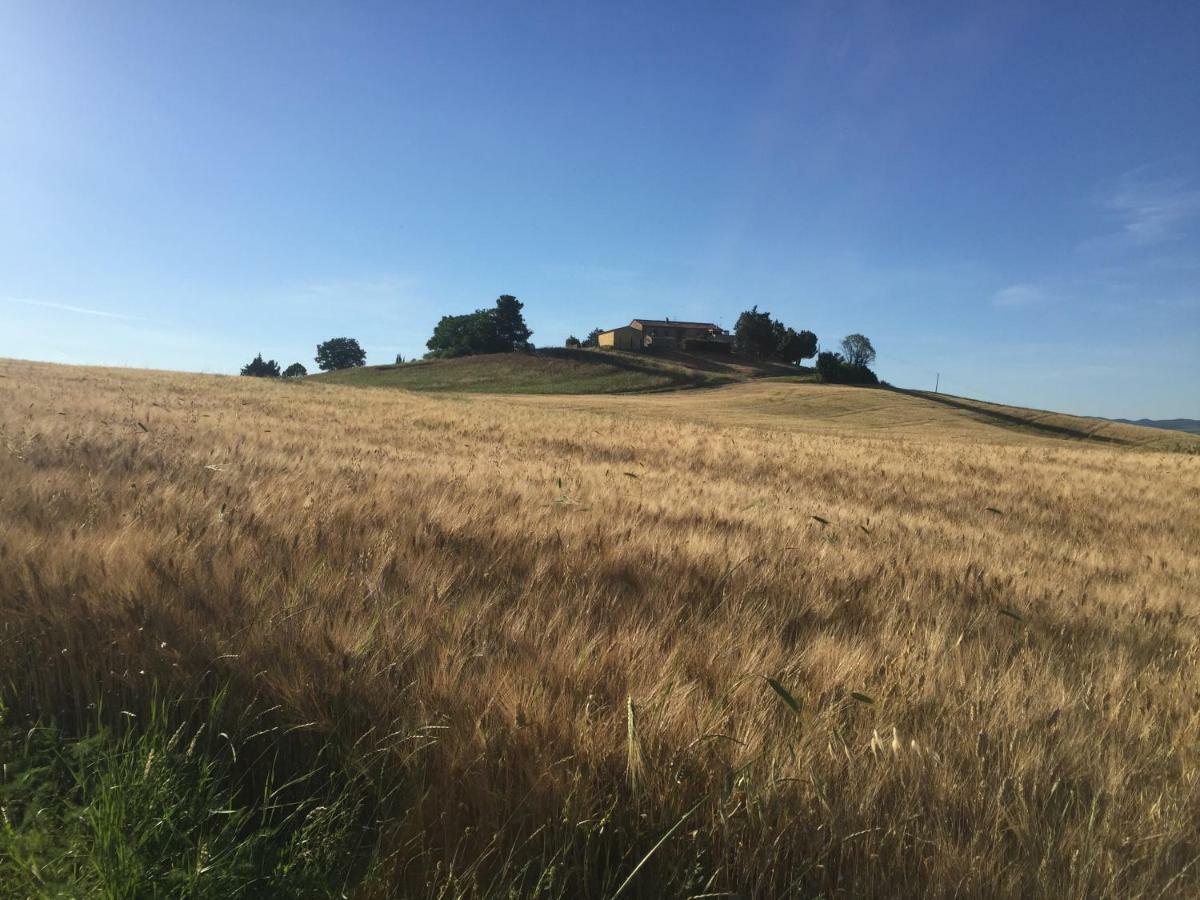 Poggio Alla Pietra 26 Porrona Luaran gambar