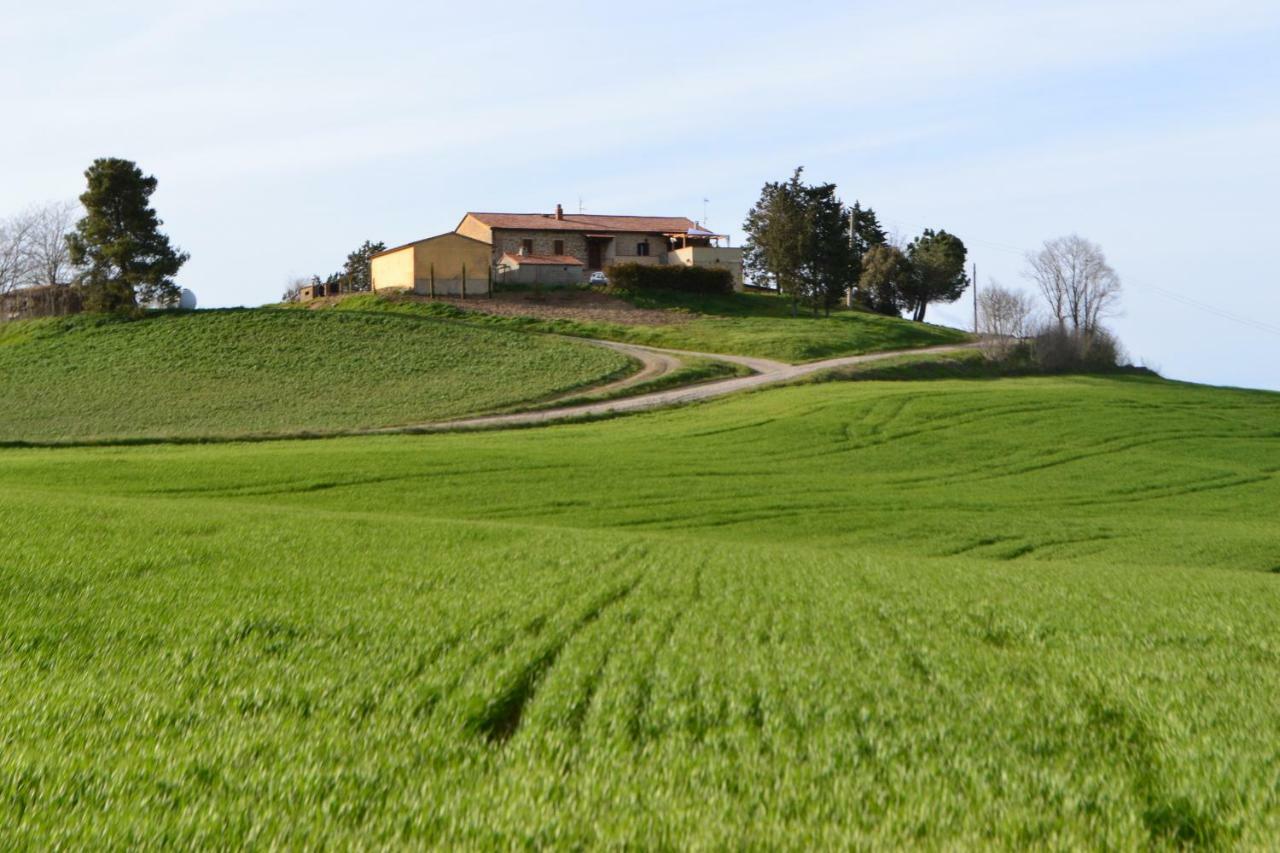 Poggio Alla Pietra 26 Porrona Luaran gambar