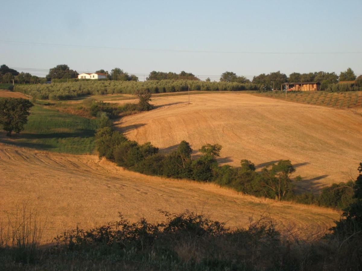 Poggio Alla Pietra 26 Porrona Luaran gambar