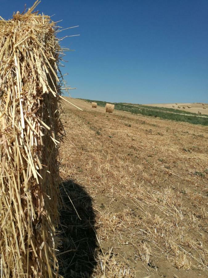 Poggio Alla Pietra 26 Porrona Luaran gambar